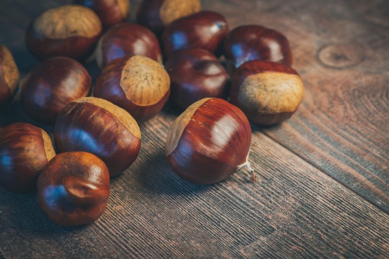 Regine d’autunno: la ricetta della marmellata di castagne