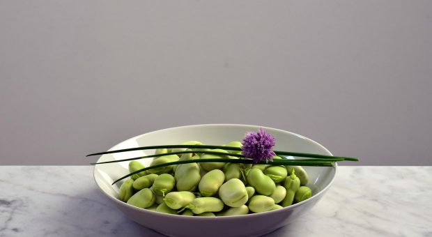 Fave: l ingrediente segreto per ricette sorprendenti, nutrienti e gustose