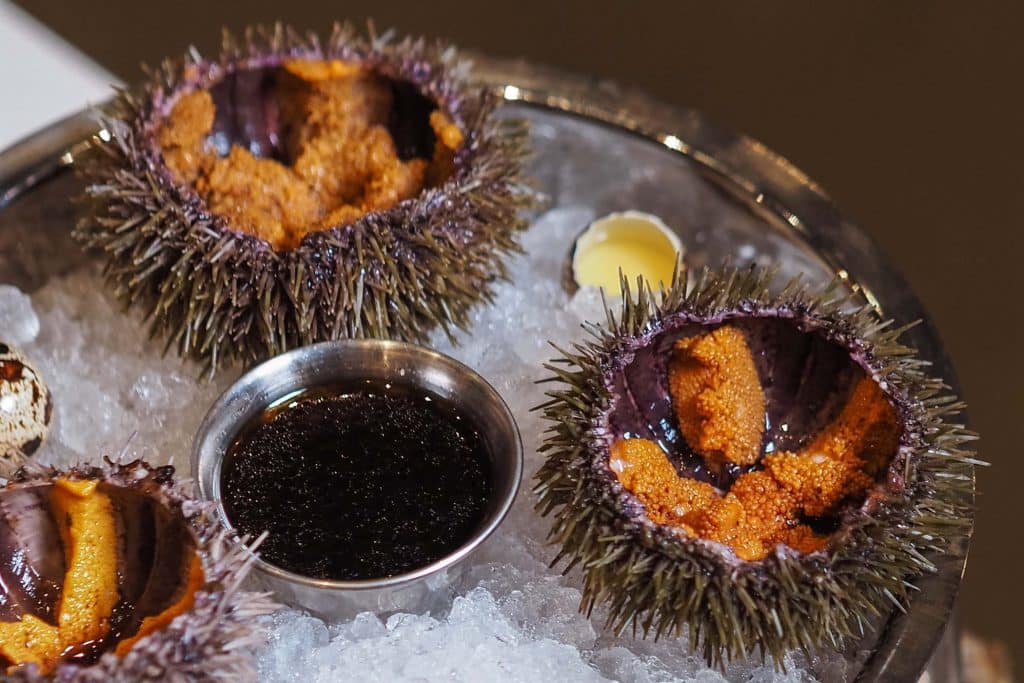 Ricci di mare