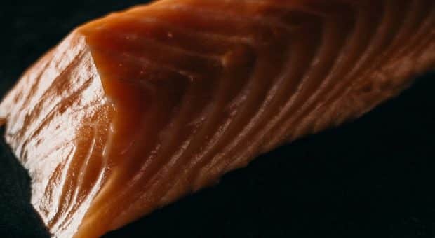 Ricercatezze easy, la ricetta speciale del salmone Terre di Autunno