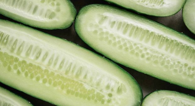 Dieta, benefici e valori nutrizionali del cetriolo: tutto ciò che c'è da sapere