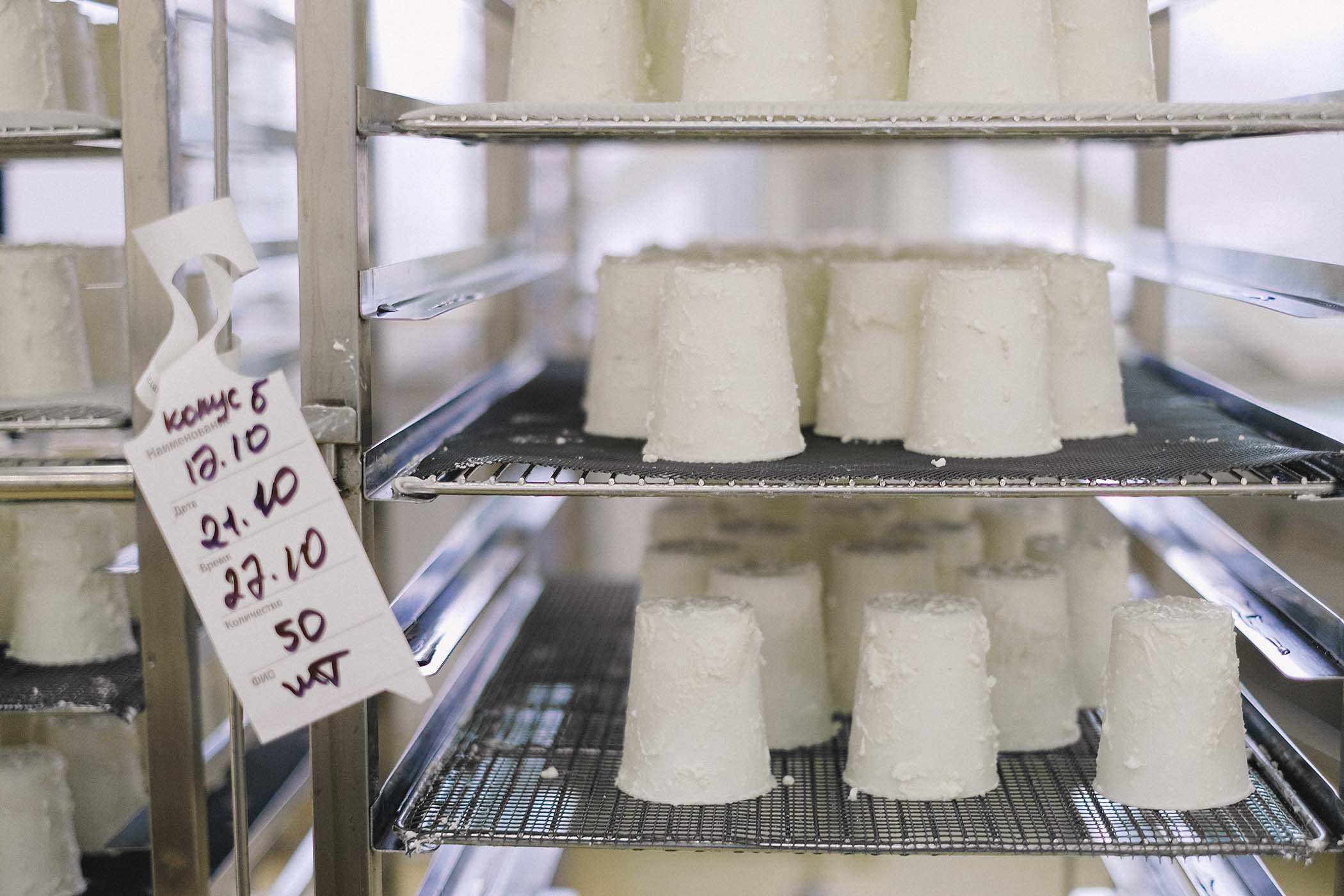 Formaggio magro, sapore robusto: la ricetta del migliaccio salato napoletano