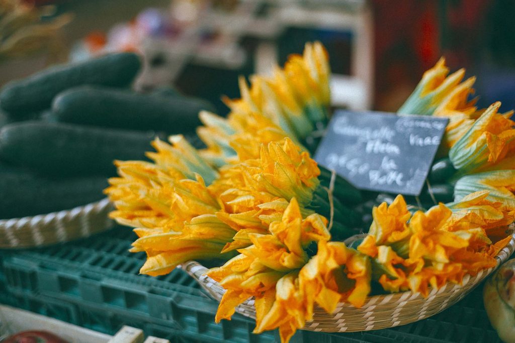 fiori di zucca