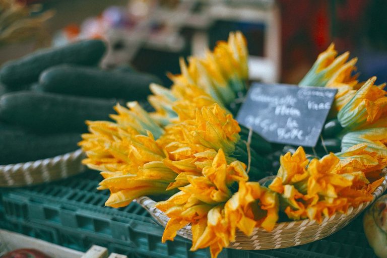 fiori di zucca