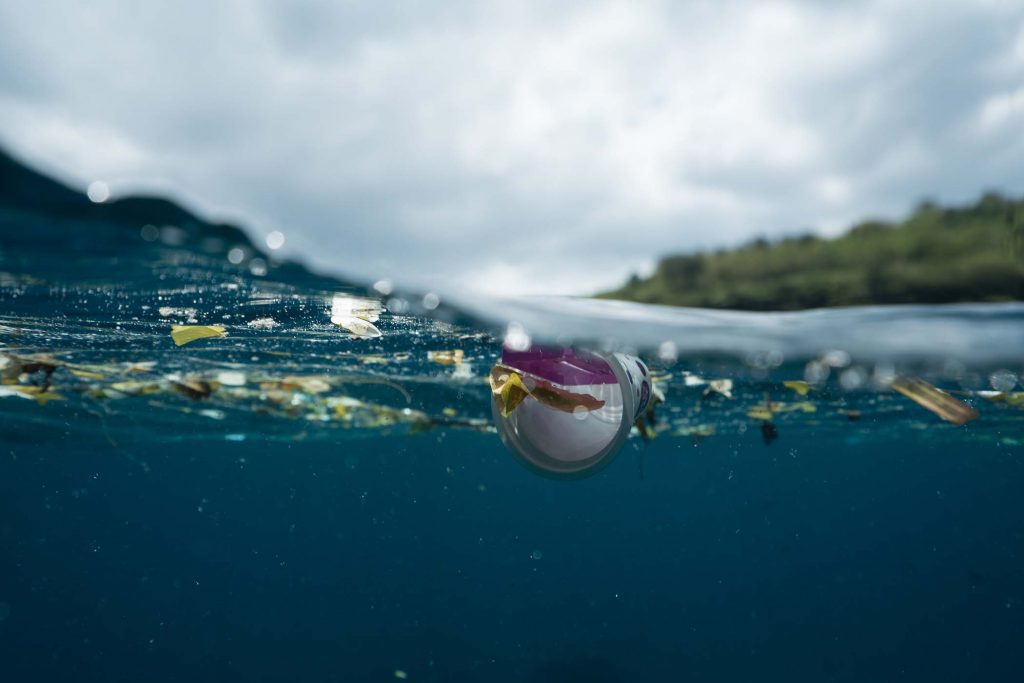 mare, oceano, inquinamento, pesce