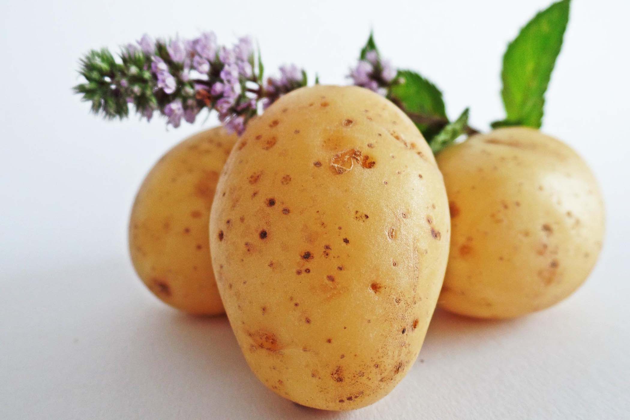Patate, miseria e nobiltà in un piatto: la ricetta della scamorza di baci