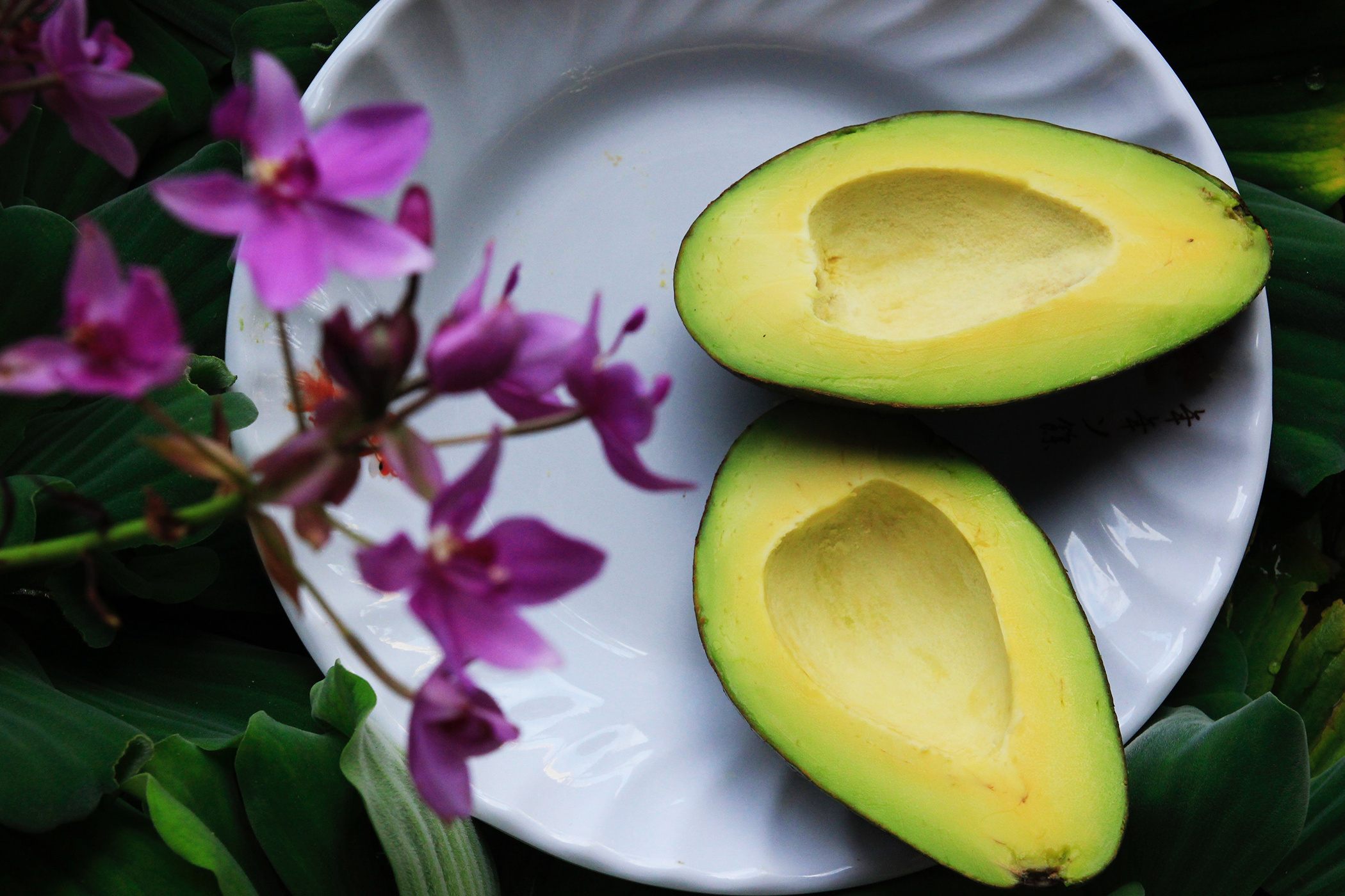 Avocado, il frutto giusto per ogni occasione: la ricetta del guacamole