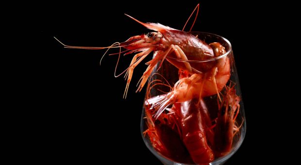 Mammar&agrave;, tutto il buono delle ricette siciliane della nonna