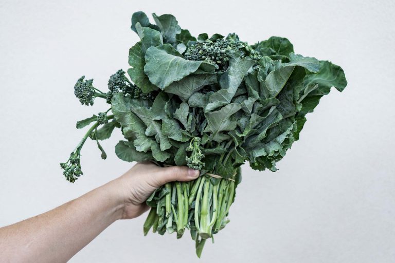 broccoletti, broccoli, cime di rapa