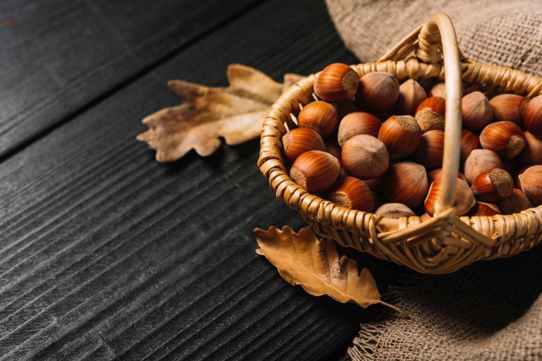 nocciole, nocciola, cestino, autunno