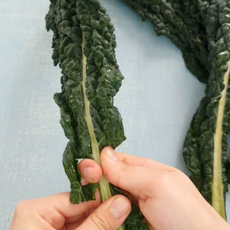 chips di cavolo nero step 1