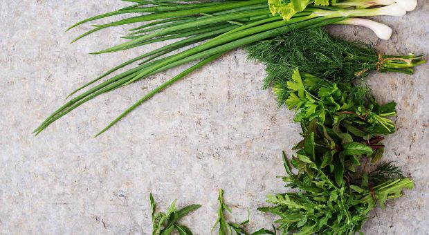 Erbe amare, la ricetta degli amareddi al pomodoro