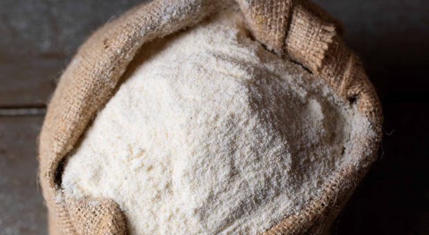 Farina di grillo nei cibi, propriet&agrave; nutrienti positive e rischi allergie: cosa dicono gli esperti