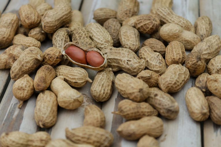 noccioline nuts