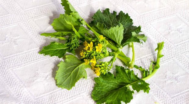 Sapori da raccontare: la ricetta delle sparnocchie e friarielli