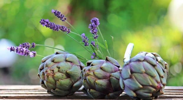 Carciofi: il tesoro culinario italiano tra sapore, versatilità e bellezza