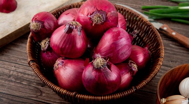 Cipolle e cipolline, il segreto della cucina perfetta: ecco ricette e proprietà