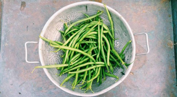 La magia dei fagiolini: una scoperta nutrizionale e culinaria da non perdere