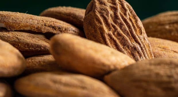 Le mandorle: un viaggio tra sapori, proprietà e curiosità del tesoro della natura