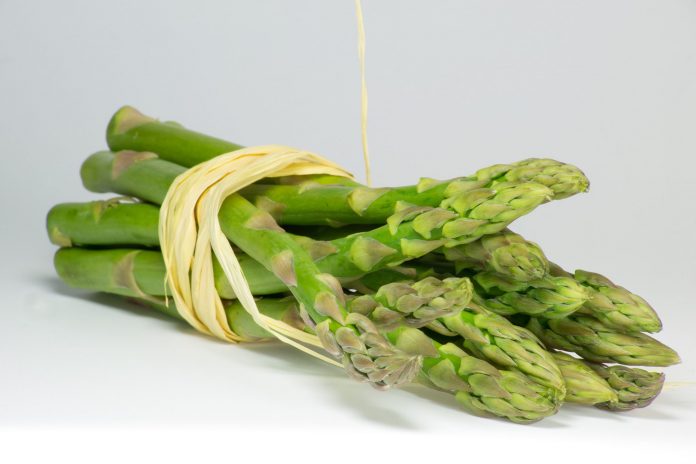 asparagi asparago ferro verdura primaverile