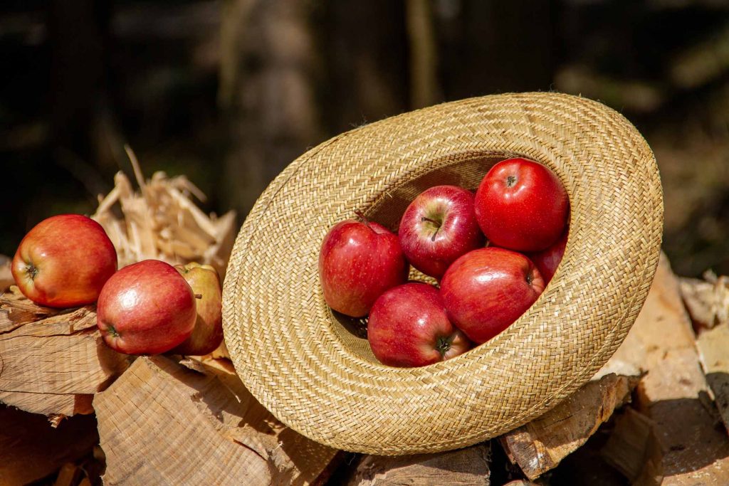 mela cappello cesta frutta