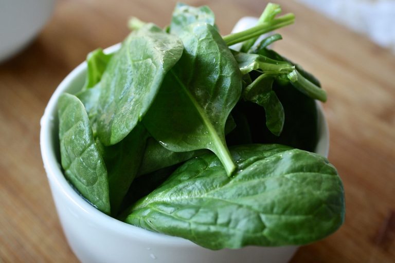 spinaci ferro verdura foglia verde