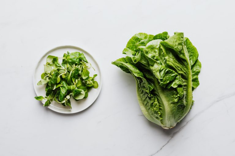 verdura foglia verde insalata ferro