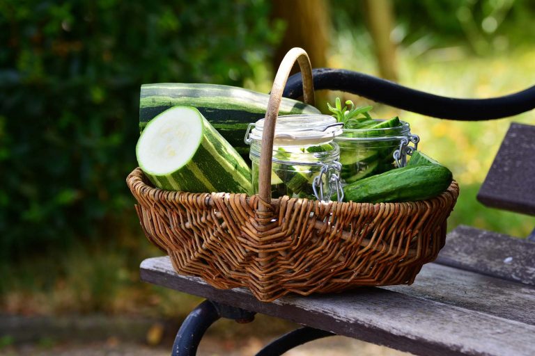 zucchine zucchina verdura zucchini