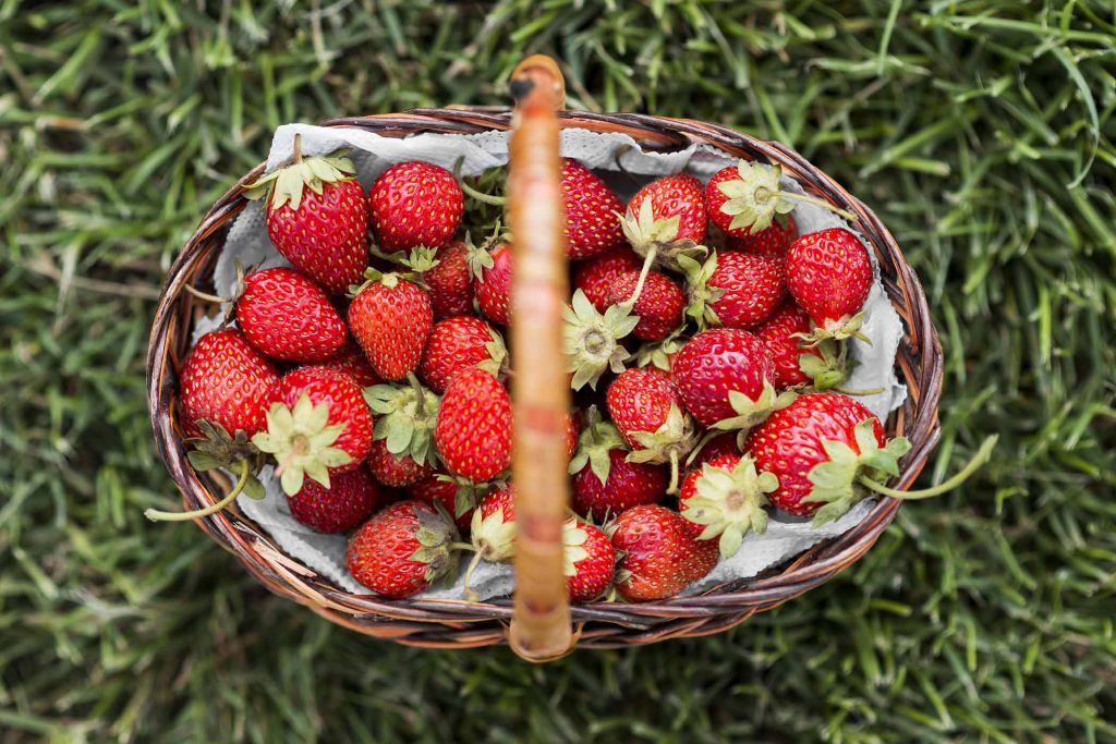 cesto-fragole - frutta