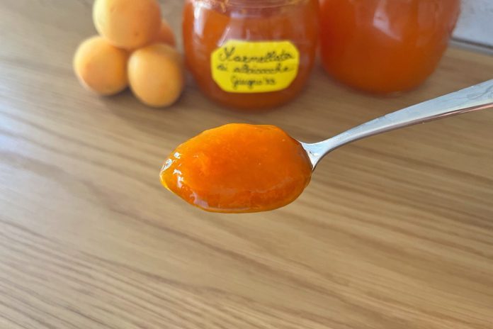 Marmellata di albicocche