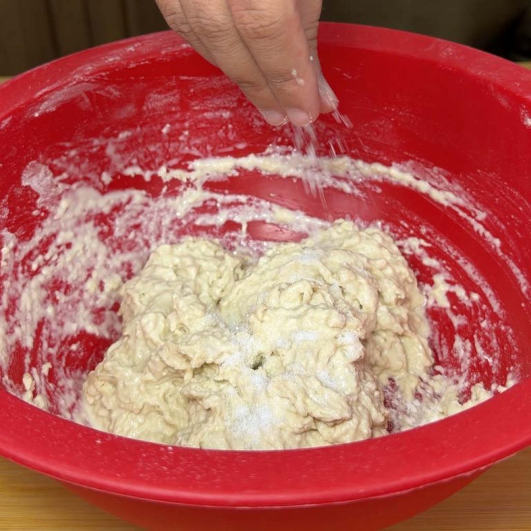 Pizza in teglia step1