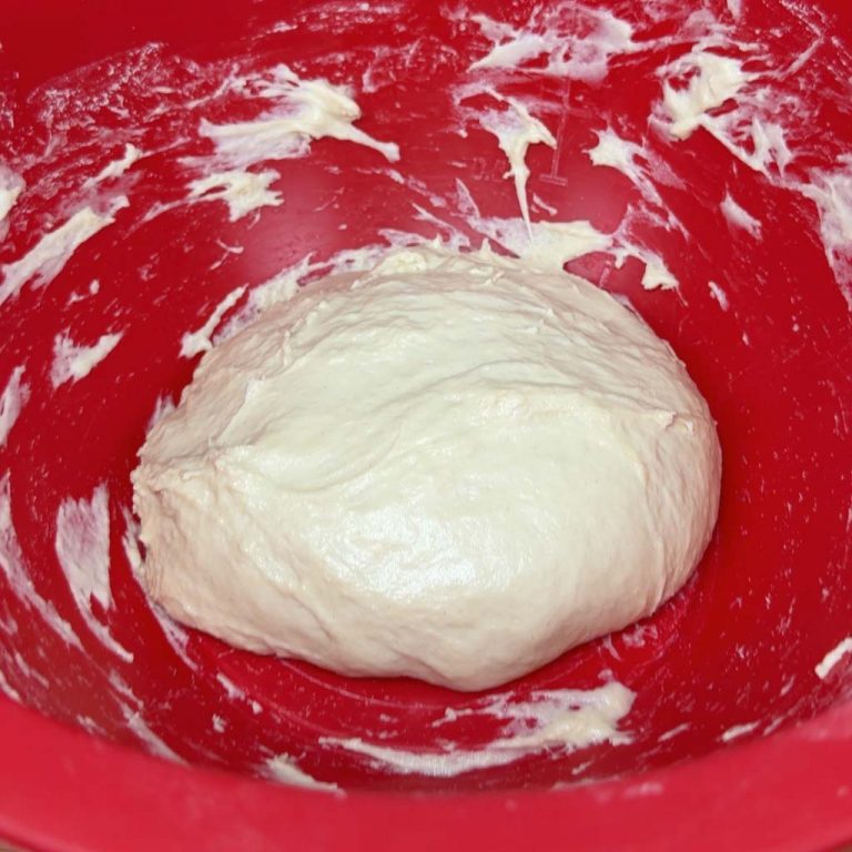 Pizza in teglia step2